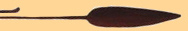 Avanti