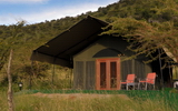 Buffalo Luxury Camp