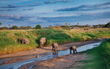 Tarangire