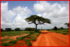 Africa by RossoScarlatto